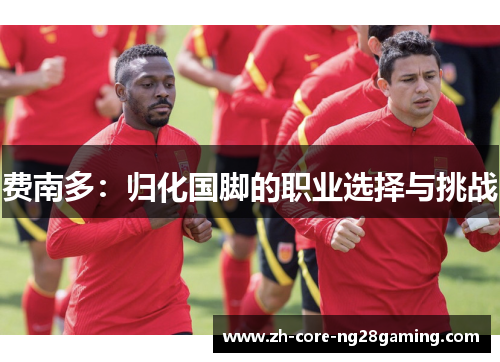 费南多：归化国脚的职业选择与挑战
