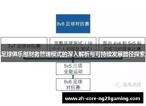 足球俱乐部财务管理模式的深入解析与可持续发展路径探索