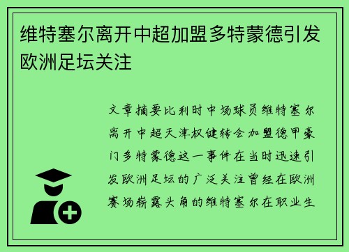维特塞尔离开中超加盟多特蒙德引发欧洲足坛关注
