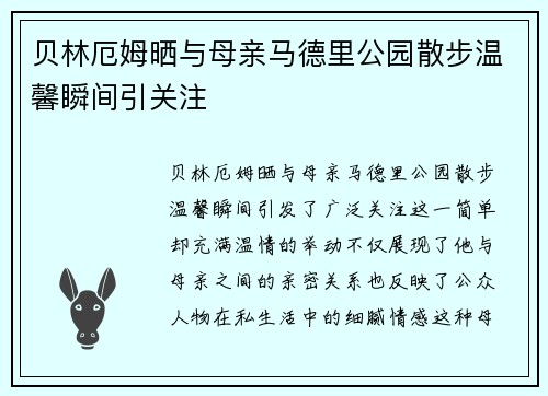 贝林厄姆晒与母亲马德里公园散步温馨瞬间引关注